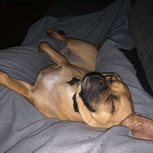 Meet your Posher, Sergio